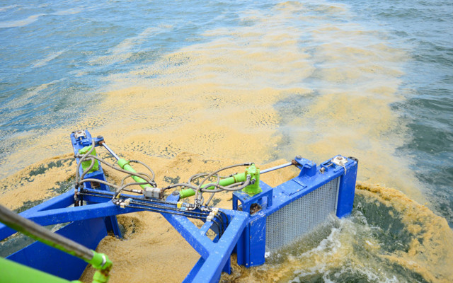 Müsilaj ekonomi için Bursa'da mercek altında - Resim: 0