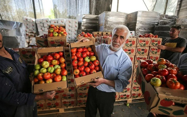 İsrail, domates sapını tehdit gördü! Pes dedirten karara tepki yağdı - Resim: 2