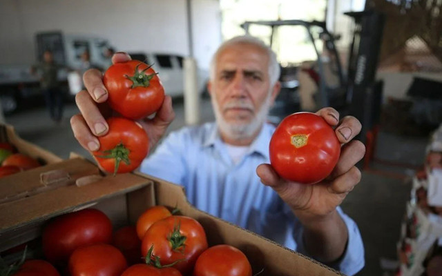 İsrail, domates sapını tehdit gördü! Pes dedirten karara tepki yağdı - Resim: 0
