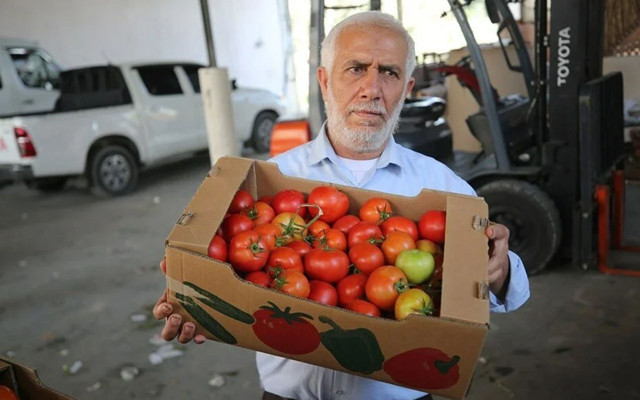 İsrail, domates sapını tehdit gördü! Pes dedirten karara tepki yağdı - Resim: 1