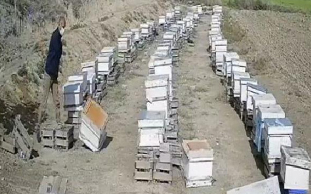 Ankara'da kızına yapılan zoruna gitti damadının arı kovanlarını parçaladı - Resim: 0
