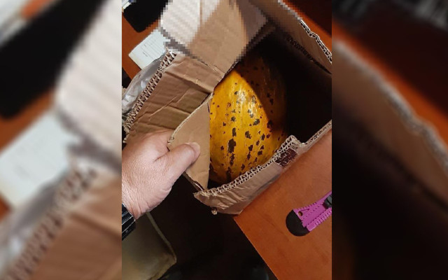 İzmit'te sanayi ustasına şok: Kompresörü kusurlu diye gönderdi, yerine kavun geldi - Resim: 0