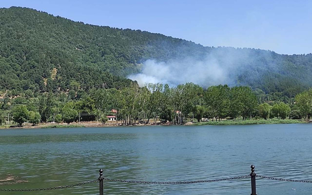 Manavgat, Bodrum, Marmaris ve Adana orman yangınlarında son durum - Resim: 0