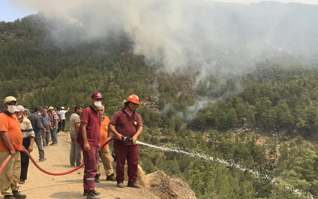 Yanan bölgelere hemen ağaç dikmek doğru mu? Uzmanlar 'izin verilmeli' dedi - Resim: 0