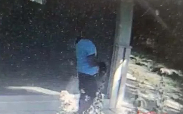 Azra Gülendam Haytaoğlu'nu öldüren Mustafa Murat Ayhan'ın cesedi taşırken görüntüsü - Resim: 2