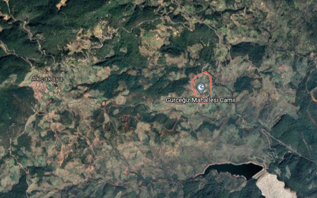 Bodrum, Marmaris, Köyceğiz, Milas yangınlarında son durum haberler kötü - Resim: 0