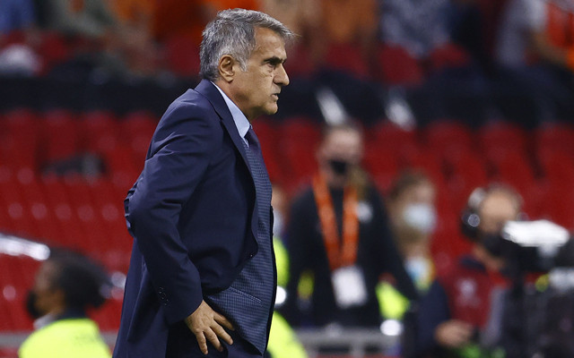 Hollanda karşısında hezimete uğradık! 6 gol yedik hiç varlık gösteremedik - Resim: 0