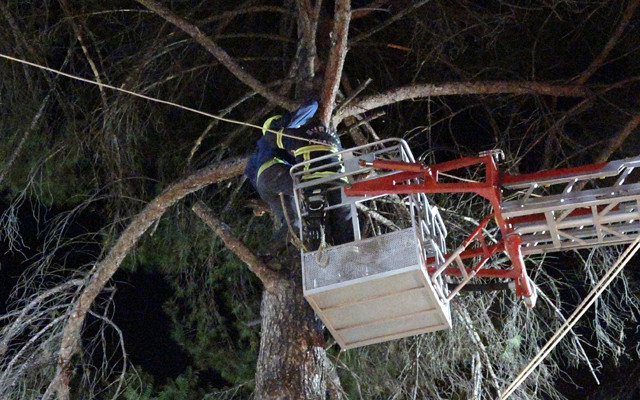 Burdur'da türbülansa kapılan paraşütçü ağaç üstüne iniş yaptı itfaiye kurtardı - Resim: 0