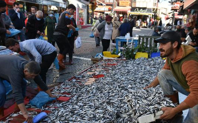 Edirne'de hamsiyi kasa kasa aldılar! Kilosu 5 liraya düştü - Resim: 1