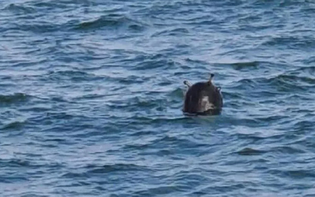 İstanbul Boğazı'nda ikinci kez mayın görüldü iddiası yalanlandı - Resim: 0