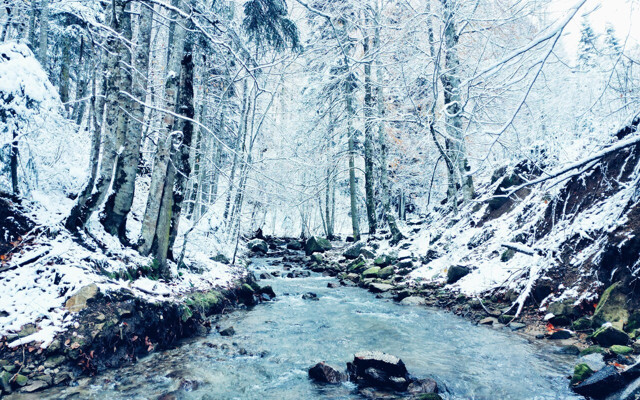 Bursa'da kar yağışı kartpostallık görüntüler ortaya çıkardı, gören mest oldu - Resim: 0