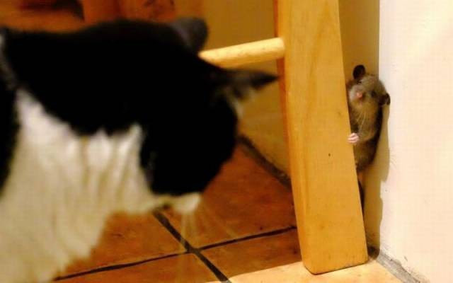 Günün en ilginç 50 fotoğrafı - Resim: 3