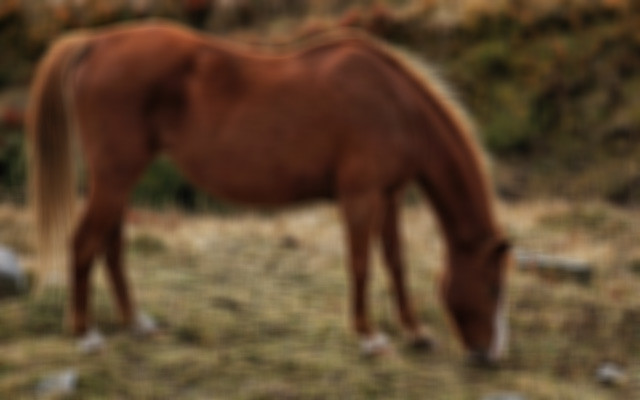 Ata tecavüz ederken yakalandı para cezasıyla kurtuldu - Resim: 1