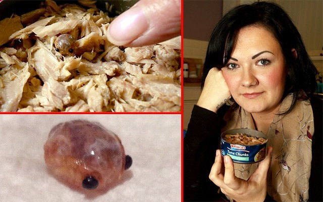 Yediği ton balığının içinde bir çift göz gördü! Şoke oldu - Resim: 2