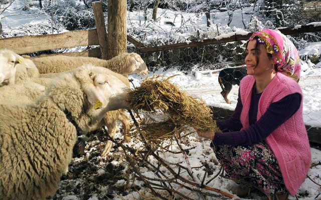 Okumak için köyden kamıştı şimdi Dubai'ye gitmek için gün sayıyor - Resim: 4