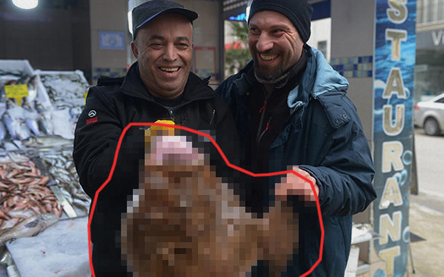 Sinoplu balıkçılar yakaladı: Görenler şaşkına döndü! - Resim: 1