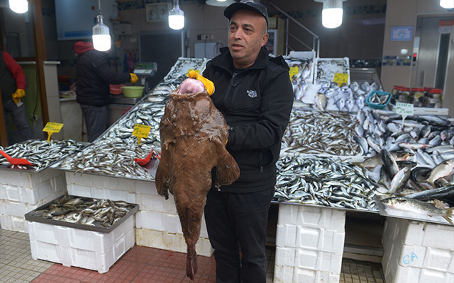 Sinoplu balıkçılar yakaladı: Görenler şaşkına döndü! - Resim: 3