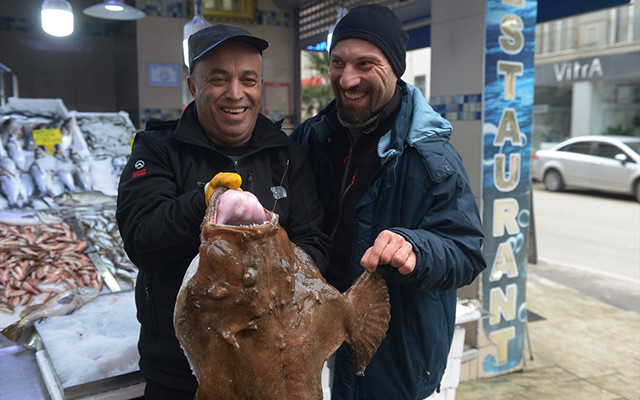 Sinoplu balıkçılar yakaladı: Görenler şaşkına döndü! - Resim: 4