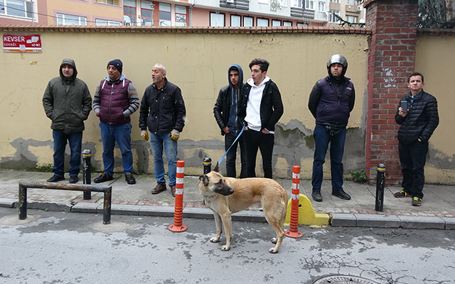 Şişli'de güpegündüz silahlı soygun!  - Resim: 4