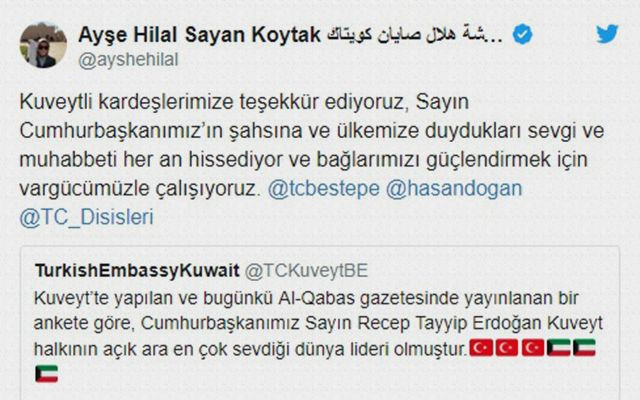 En çok sevilen dünya lideri açık ara Erdoğan - Resim: 2