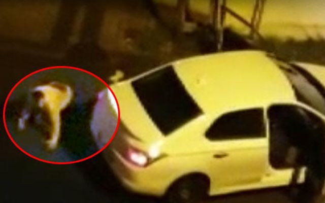 İstanbul Sultanbeyli’de cinayet anları kamerada - Resim: 1