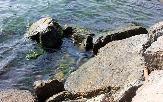 İstanbul Üsküdar sahilinde erkek cesedi bulundu - Resim: 2
