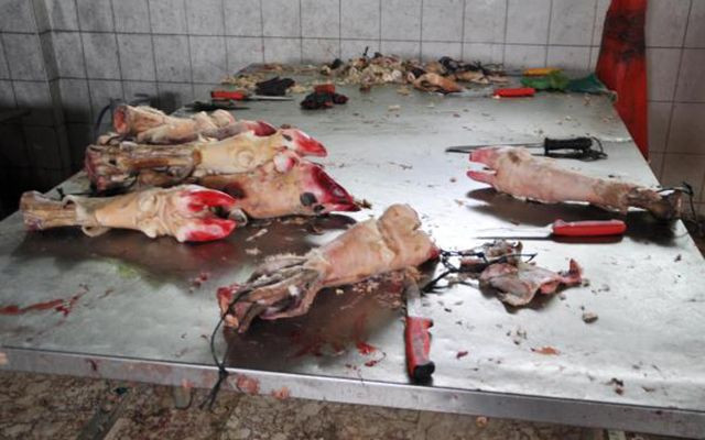 Denizli'de kaçak sakatat işleme tesisinde şok edici manzara - Resim: 1