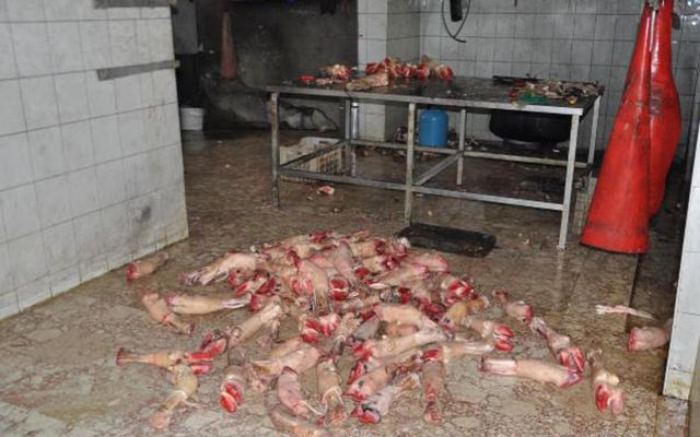 Denizli'de kaçak sakatat işleme tesisinde şok edici manzara - Resim: 2