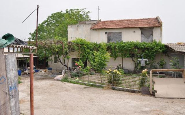 Denizli'de kaçak sakatat işleme tesisinde şok edici manzara - Resim: 3