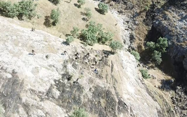 Batman’da yakalanan 4 PKK’lı terörist tutuklandı - Resim: 1