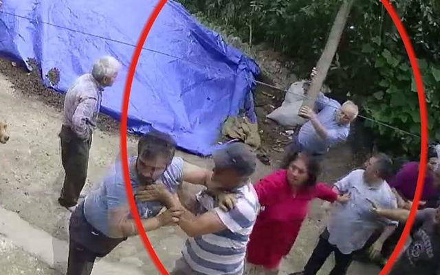 Ordu'da kafasına kalasla vurulan kadın: Öldürmek için vurdular - Resim: 1