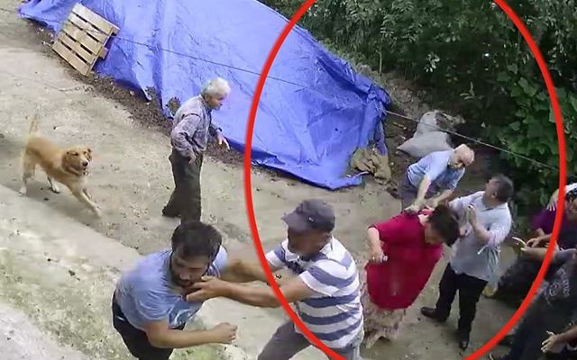 Ordu'da kafasına kalasla vurulan kadın: Öldürmek için vurdular - Resim: 2