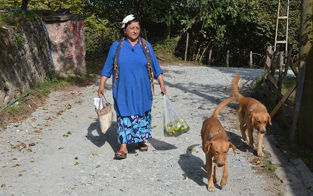 Ordu'da kafasına kalasla vurulan kadın: Öldürmek için vurdular - Resim: 4