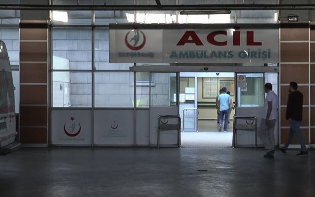 Erzurum'da ayı saldırısı 1 ölü 2 yaralı - Resim: 1