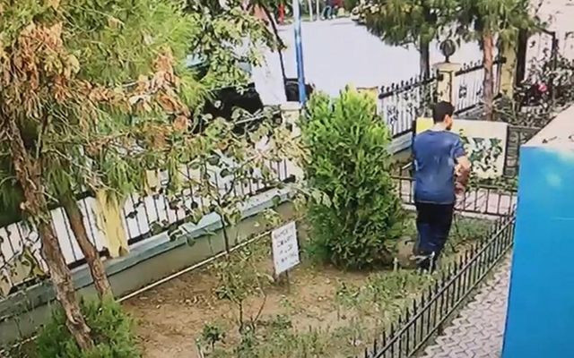 İzmir Karşıyaka'da bir kişi yavru kediyi tekmeleyerek öldürdü - Resim: 3