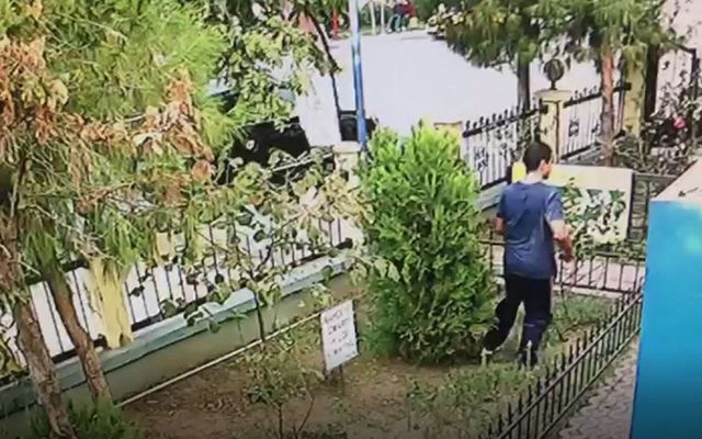 İzmir Karşıyaka'da bir kişi yavru kediyi tekmeleyerek öldürdü - Resim: 4