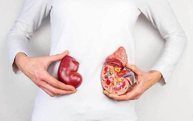 ABD'den yanlışlıkla başka bir hastaya böbrek nakledildi - Resim: 2