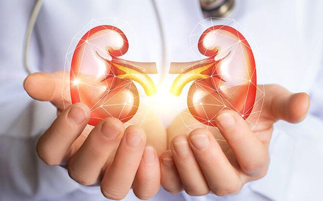 ABD'den yanlışlıkla başka bir hastaya böbrek nakledildi - Resim: 3