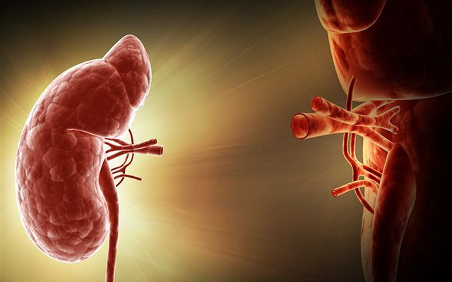 ABD'den yanlışlıkla başka bir hastaya böbrek nakledildi - Resim: 4