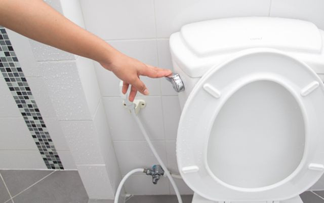 Koronavirüsten korunmak için sifonu çekmeden önce klozet kapağını kapatın - Resim: 3