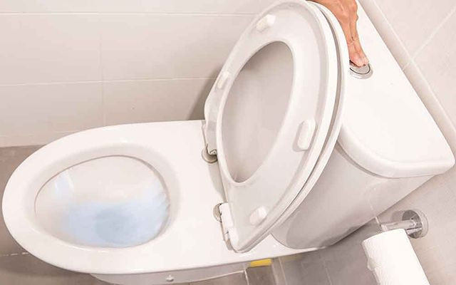 Koronavirüsten korunmak için sifonu çekmeden önce klozet kapağını kapatın - Resim: 4