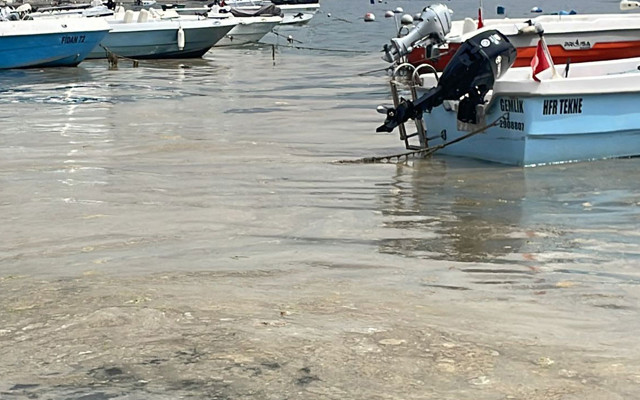 Marmara’da endişelendiren görüntü! Yeniden ortaya çıktı