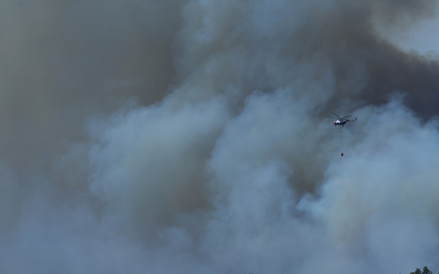 Alevler hızla ilerliyor 26 saattir yanıyor! Sakarya'daki yangın Bilecik'e sıçradı