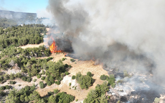 Orman yangınlarında son durum! 4 gündür alev alev yanıyor, köy ve mahalleler tahliye edildi, durum kötü...