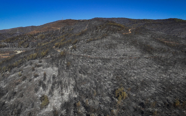 Hatay'ın ciğerleri kül oldu! Yanan ormanlık alanlar havadan görüntülendi