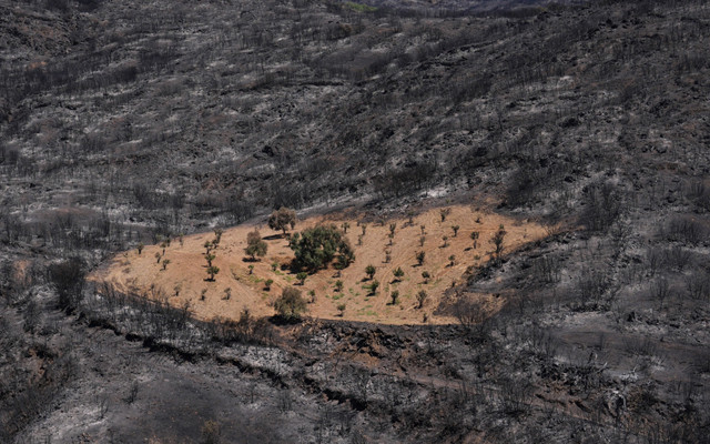 İzmir Ödemiş’te şaşkına çeviren görüntü! Sadece orası yanmadı!