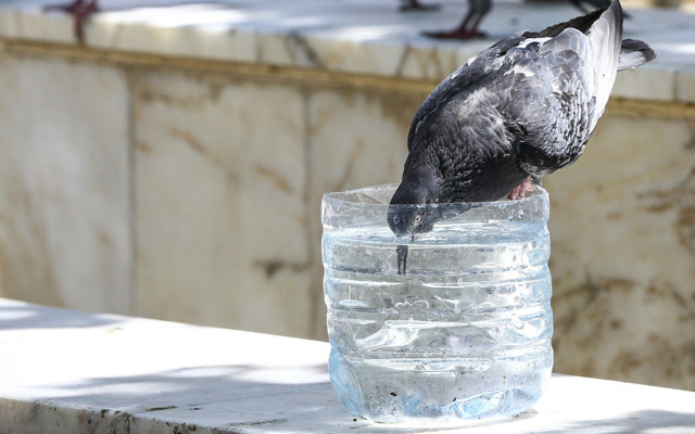 Meteoroloji duyurdu aşırı sıcaklar geri geldi 14 Temmuz haftası hava kavuracak