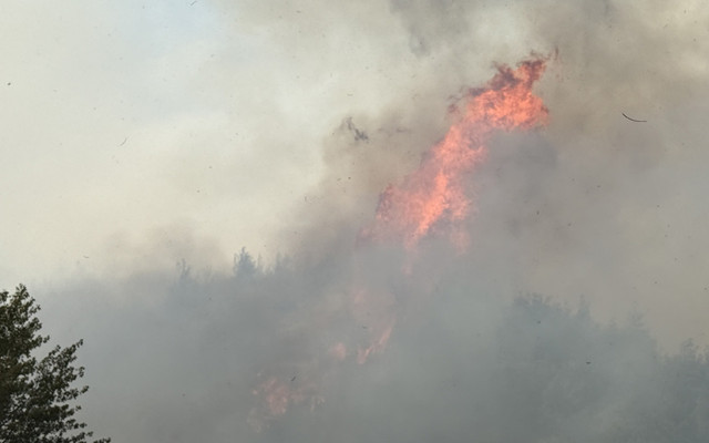 Yangın 4 gündür devam ediyor! Rüzgar alevleri yeniden büyüttü, yol ulaşıma kapatıldı