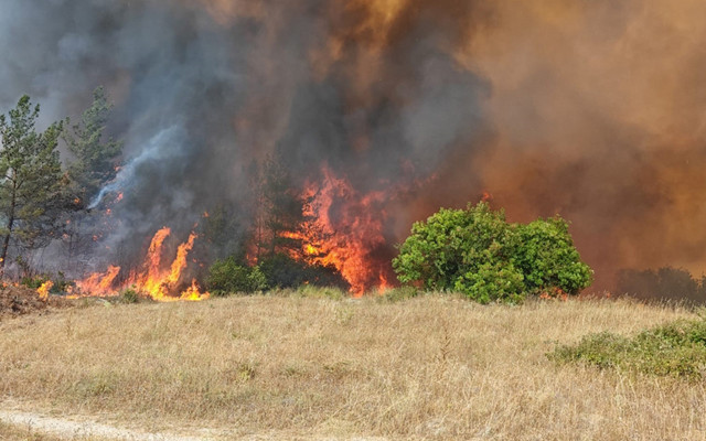 Bursa’da çıkan orman yangını söndürüldü