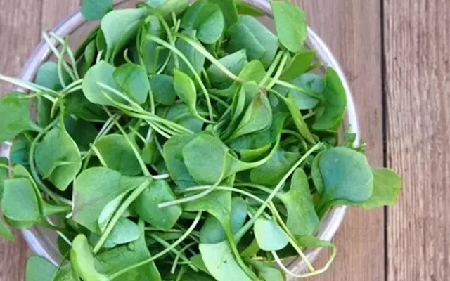 Ne ıspanak ne lahana! En faydalı yeşillik belli oldu